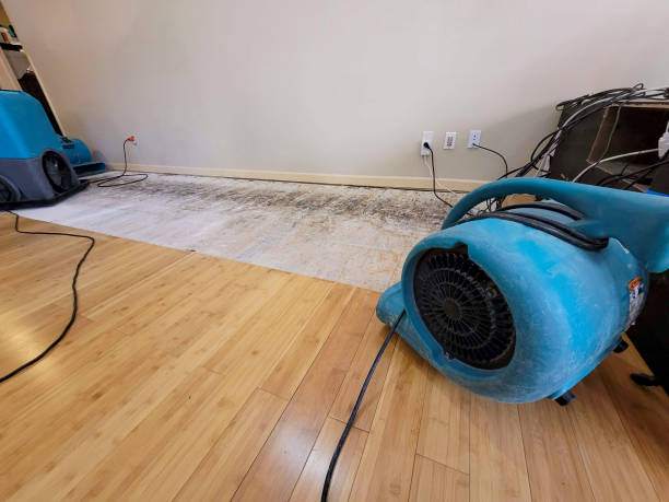 Professional Water Damage Repair technician working in Willis, TX